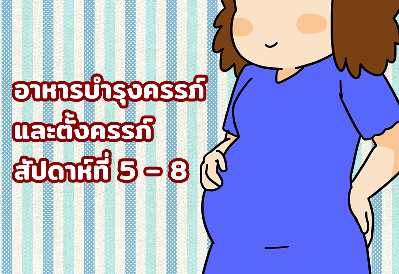 อาหารบำรุงครรภ์ และตั้งครรภ์ สัปดาห์ที่ 5 – 8