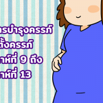 อาหารบำรุงครรภ์ และตั้งครรภ์ สัปดาห์ที่ 9 ถึง สัปดาห์ที่ 13