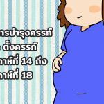 อาหารบำรุงครรภ์ และ ตั้งครรภ์ สัปดาห์ที่ 14 ถึง สัปดาห์ที่ 18