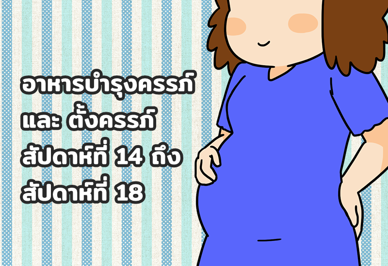 อาหารบำรุงครรภ์ และ ตั้งครรภ์ สัปดาห์ที่ 14 ถึง สัปดาห์ที่ 18