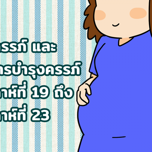 ตั้งครรภ์ และ อาหารบำรุงครรภ์ สัปดาห์ที่ 19 ถึง สัปดาห์ที่ 23