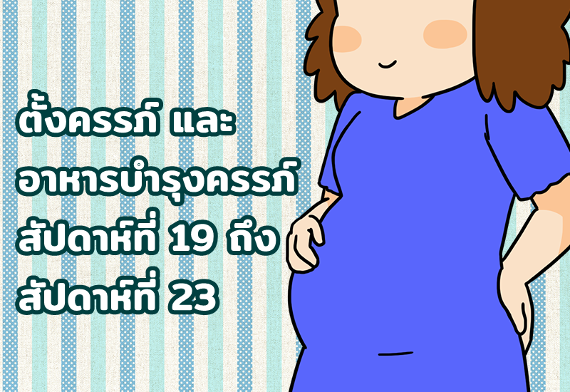 ตั้งครรภ์ และ อาหารบำรุงครรภ์ สัปดาห์ที่ 19 ถึง สัปดาห์ที่ 23