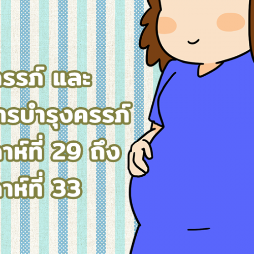 ตั้งครรภ์ และ อาหารบำรุงครรภ์ สัปดาห์ที่ 29 ถึง สัปดาห์ที่ 33