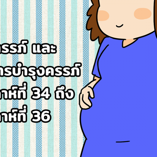 ตั้งครรภ์ และ อาหารบำรุงครรภ์ สัปดาห์ที่ 34 ถึง สัปดาห์ที่ 36