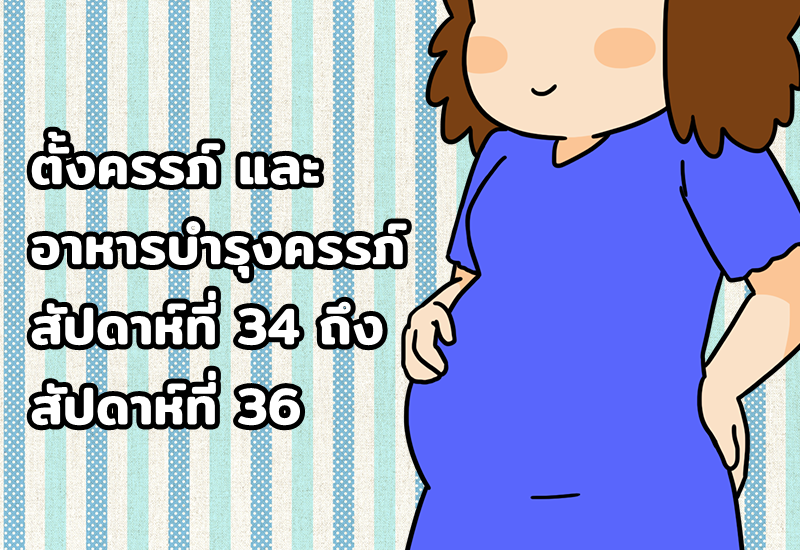 ตั้งครรภ์ และ อาหารบำรุงครรภ์ สัปดาห์ที่ 34 ถึง สัปดาห์ที่ 36