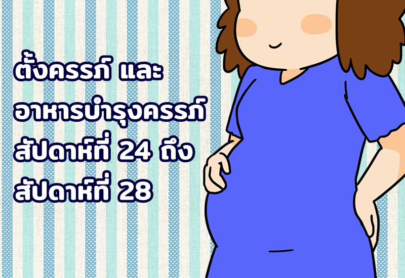 ตั้งครรภ์ และ อาหารบำรุงครรภ์ สัปดาห์ที่ 24 ถึง สัปดาห์ที่ 28