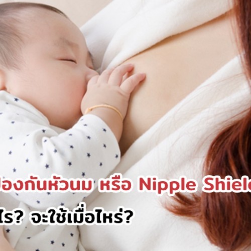 แผ่นป้องกันหัวนม หรือ Nipple Shield คืออะไร? จะใช้เมื่อไหร่?