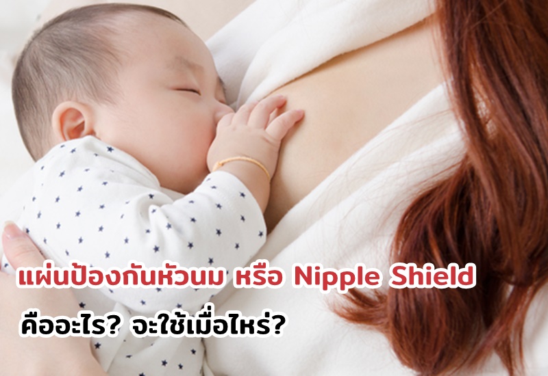แผ่นป้องกันหัวนม หรือ Nipple Shield คืออะไร? จะใช้เมื่อไหร่?
