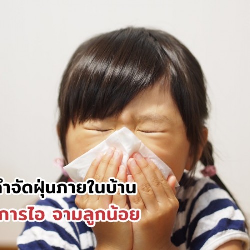 8 วิธีกำจัดฝุ่นภายในบ้าน ลดอาการไอ จามลูกน้อย