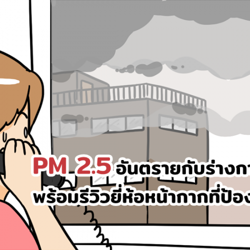 PM 2.5 อันตรายกับร่างกายเด็ก พร้อมรีวิวยี่ห้อหน้ากากที่ป้องกันได้