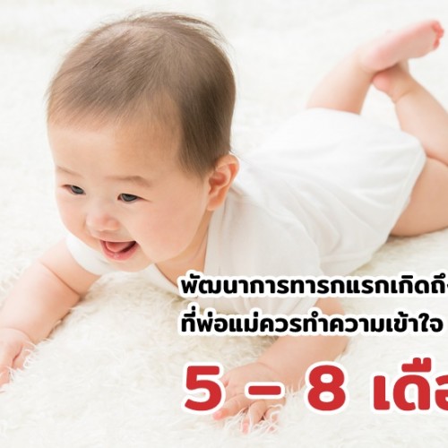 พัฒนาการทารกแรกเกิดถึง 1 ปี ที่พ่อแม่ควรทำความเข้าใจ (5 – 8 เดือน)