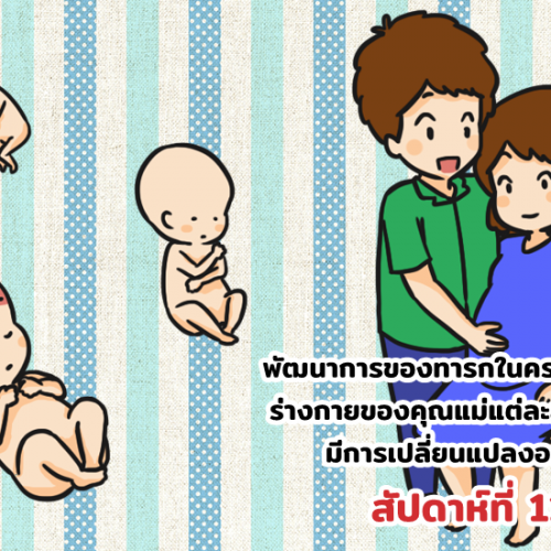 พัฒนาการของทารกในครรภ์และร่างกายของคุณแม่แต่ละสัปดาห์มีการเปลี่ยนแปลงอะไรบ้าง สัปดาห์ที่ 11-20