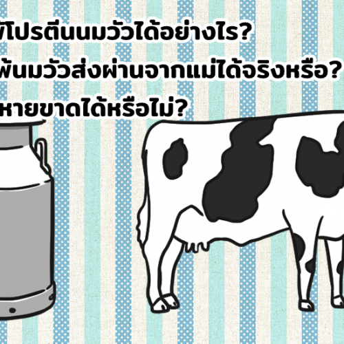 ลูกแพ้โปรตีนนมวัวได้อย่างไร? โรคแพ้นมวัวส่งผ่านจากแม่ได้จริงหรือ? รักษาหายขาดได้หรือไม่?