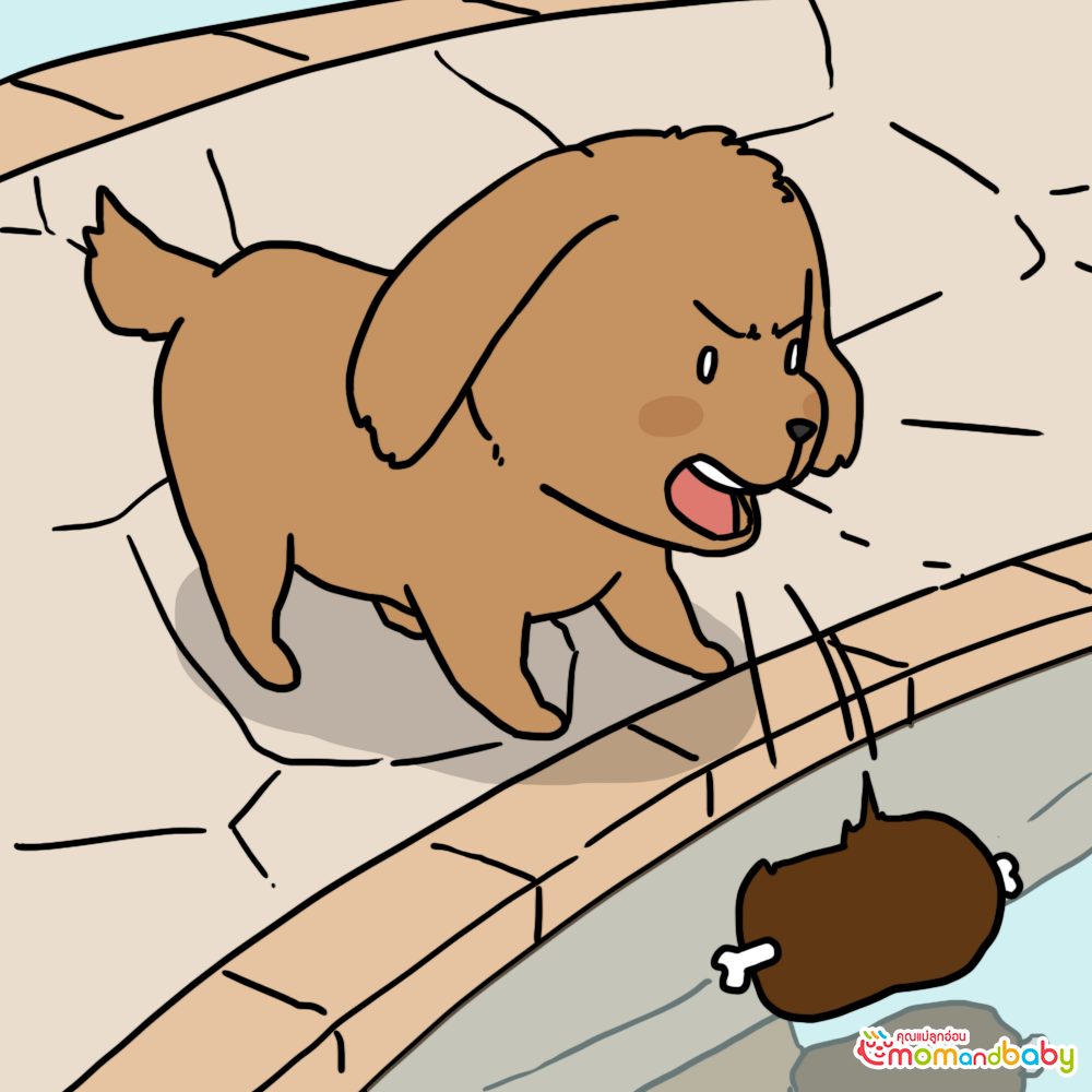 จากนั้นเจ้าสุนัขจอมโลภก็คำรามใส่สุนัขในแม่น้ำ