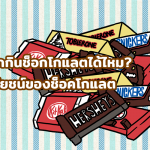 ทารกกินช็อกโกแลตได้ไหม? ประโยชน์ของช็อคโกแลต