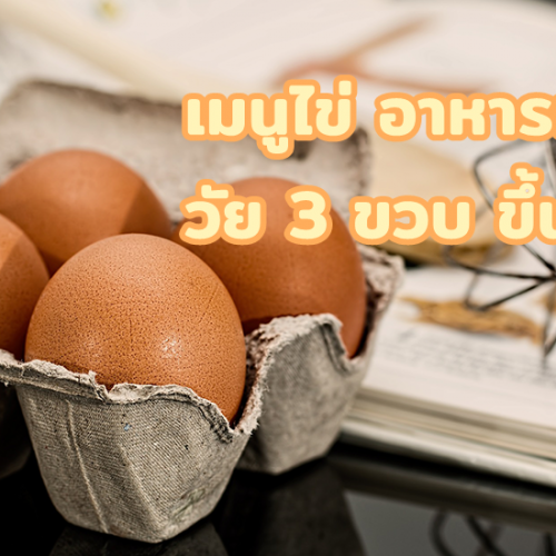 เมนูไข่ อาหารเช้า วัย 3 ขวบ ขึ้นไป