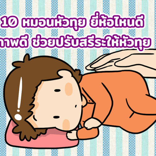 รีวิว 10 หมอนหัวทุย ยี่ห้อไหนดี ปี 2021 คุณภาพดี ช่วยปรับสรีระให้หัวทุย