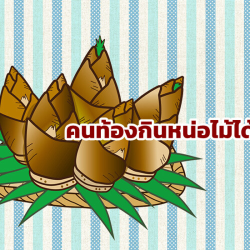 คนท้องกินหน่อไม้ได้ไหม
