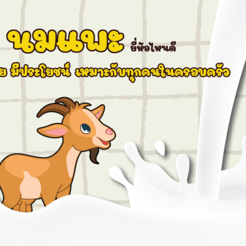 5 นมแพะ ยี่ห้อไหนดี อร่อย มีประโยชน์ เหมาะกับทุกคนในครอบครัว