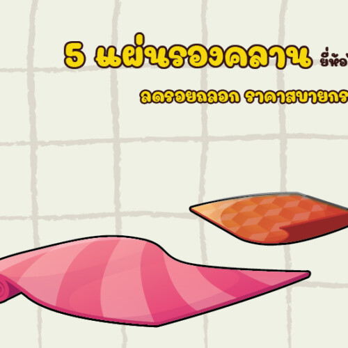 5 แผ่นรองคลาน ยี่ห้อไหนดี ลดรอยถลอก ราคาสบายกระเป๋า