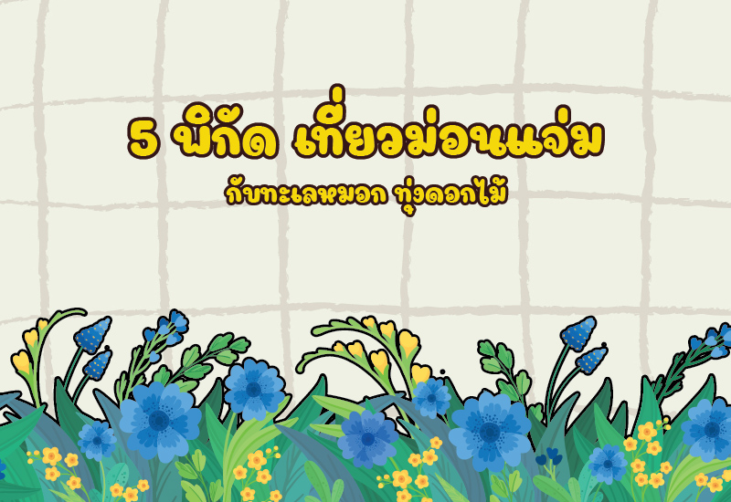 5 พิกัด เที่ยวม่อนแจ่ม กับทะเลหมอก ทุ่งดอกไม้